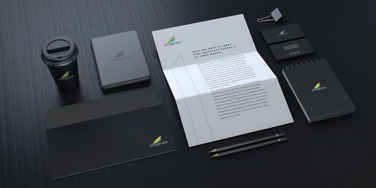 聯(lián)合迅潔VI效果圖