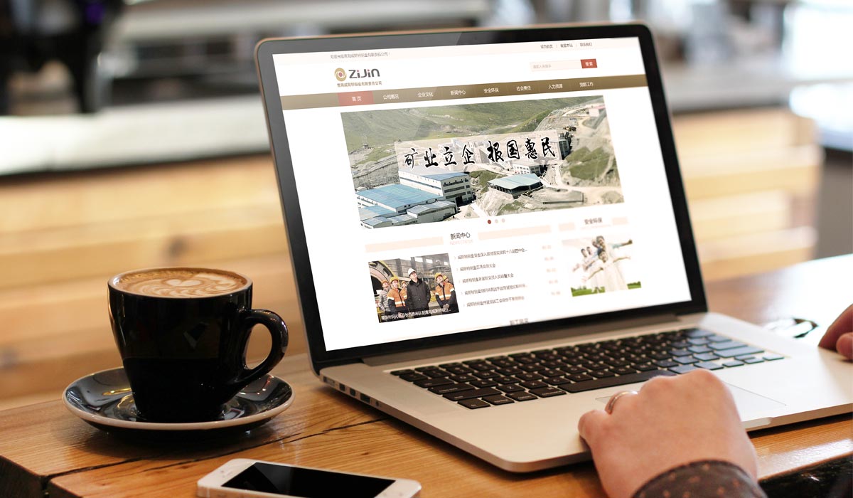 威斯特網(wǎng)站設(shè)計(jì)效果圖